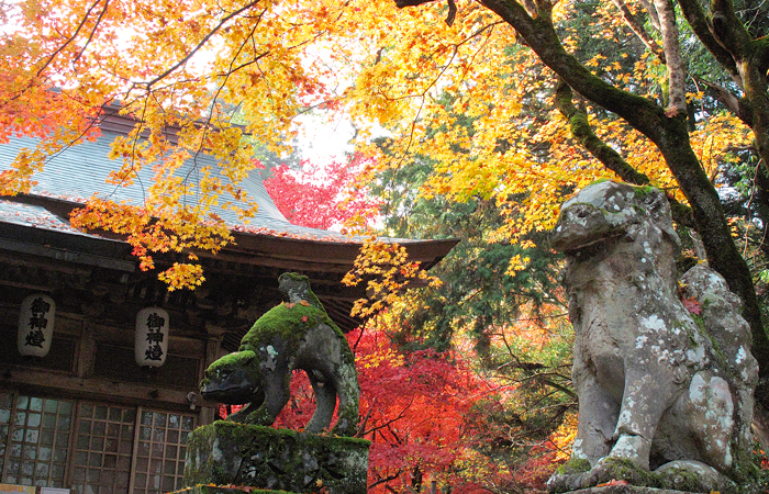 養父神社